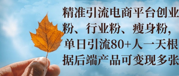 小投资撬动大收益，精准引流创业粉、行业粉，单日引流80+，一天可变现多张|云雀资源分享