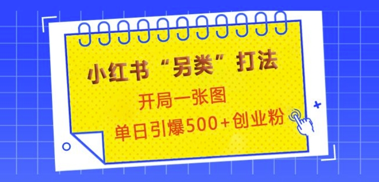 小红书“另类”打法，开局一张图，单日引爆500+精准创业粉【揭秘】|云雀资源分享