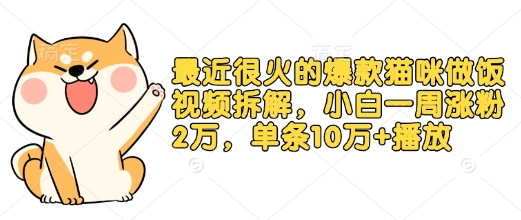 最近很火的爆款猫咪做饭视频拆解，小白一周涨粉2万，单条10万+播放(附保姆级教程)|云雀资源分享