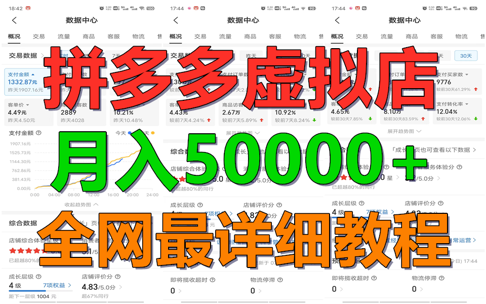 拼多多平台虚似电子商务夏令营月入50000 你也行，爆利平稳长期，第二职业优选|云雀资源分享