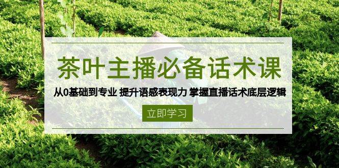 茶网络主播必不可少销售话术课 从0基本到专业 提高英语语感感染力 把握直播带货话术底层思维|云雀资源分享