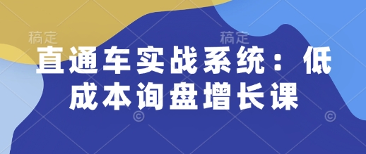 直通车实战系统：低成本询盘增长课，让个人通过技能实现升职加薪，让企业低成本获客，订单源源不断|云雀资源分享