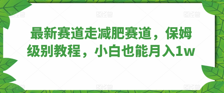 最新赛道走减肥赛道，保姆级别教程，小白也能月入1w