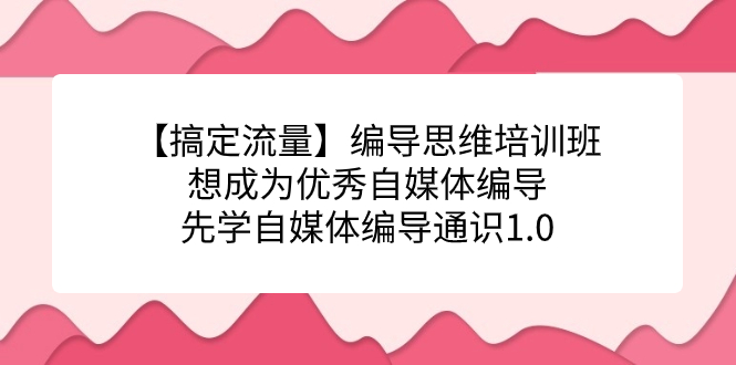 图片[1]-【解决总流量】导演逻辑思维培训机构，要成为出色自媒体平台导演先学自媒体编导通识类1.0